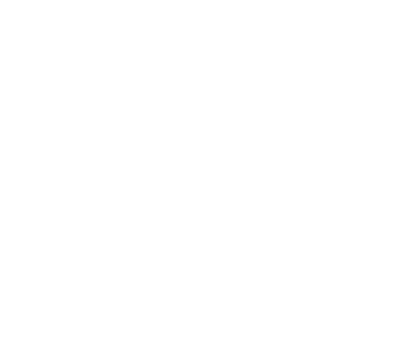 Acorn Group logo