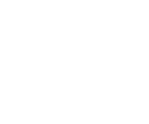 durstons logo