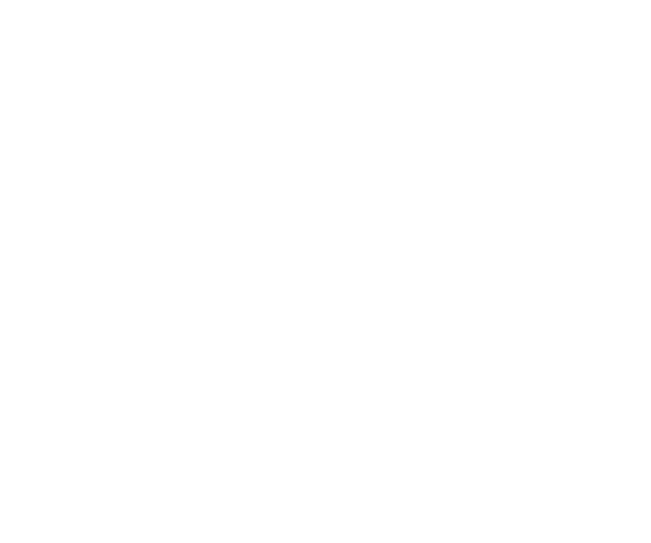 mfc logo