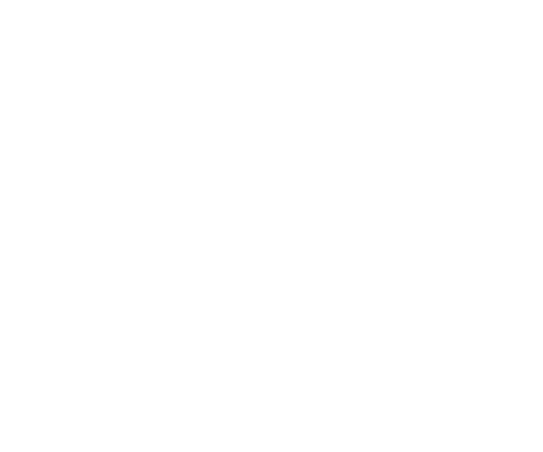newtown logo