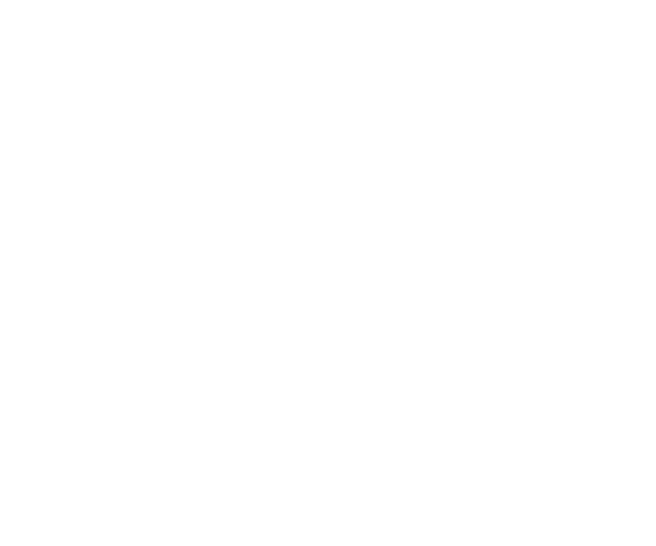 thermal logo