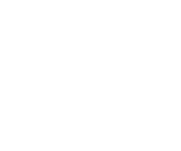 Vizors Logo