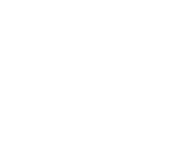 windsor carpets logo