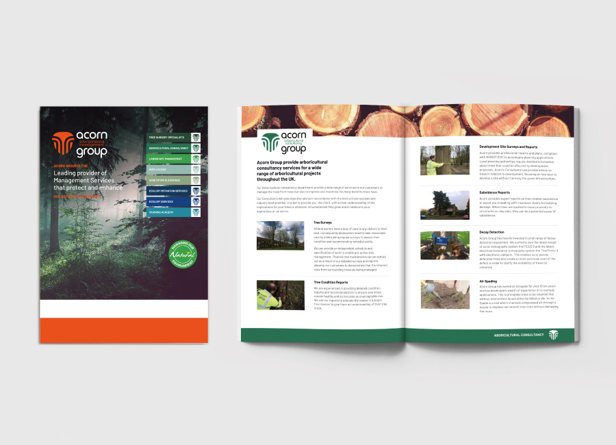 acorn brochure design