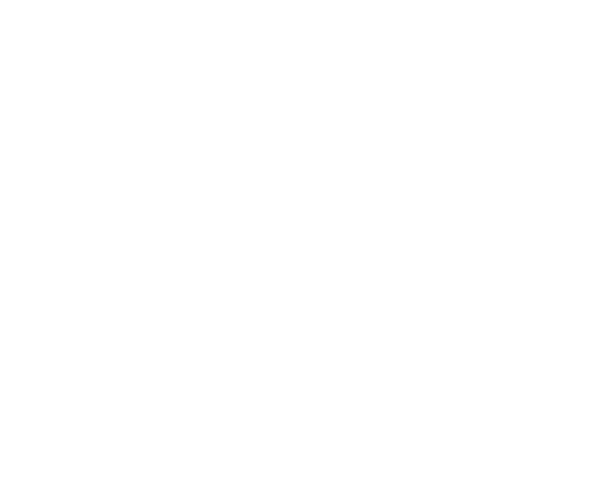 Platinum Cars Logo White