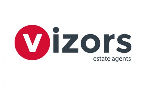Visor Logo Design